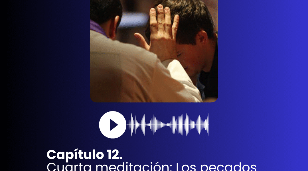 I. Capítulo 12. Cuarta meditación: Los pecados